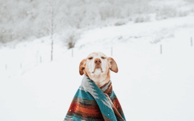 Hello Winter! ❄️